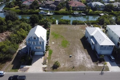 Terreno en venta en Apollo Beach, Florida № 1356207 - foto 4