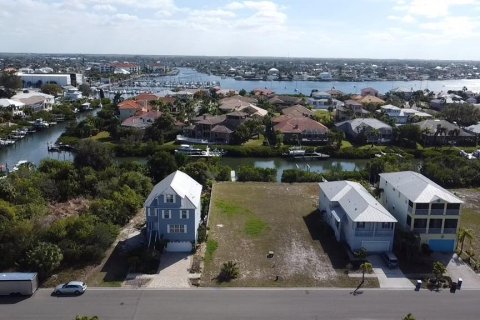 Land in Apollo Beach, Florida № 1356207 - photo 5