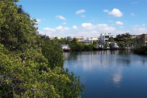 Land in Apollo Beach, Florida № 1356207 - photo 30