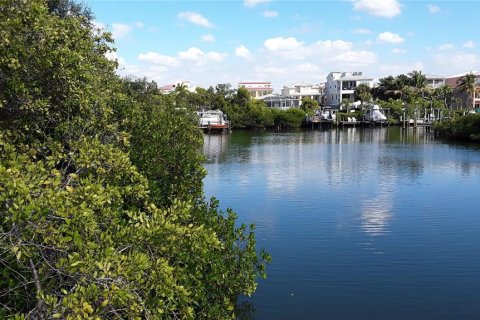 Terreno en venta en Apollo Beach, Florida № 1356207 - foto 29