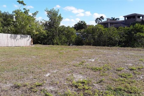 Terreno en venta en Apollo Beach, Florida № 1356207 - foto 21