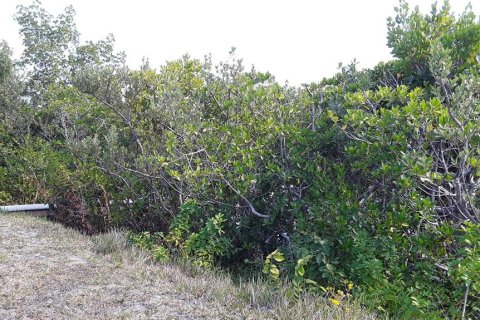 Land in Apollo Beach, Florida № 1356207 - photo 26