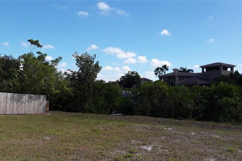 Land in Apollo Beach, Florida № 1356207 - photo 20