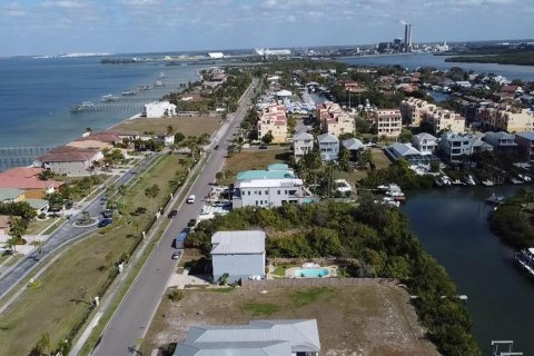 Land in Apollo Beach, Florida № 1356207 - photo 8