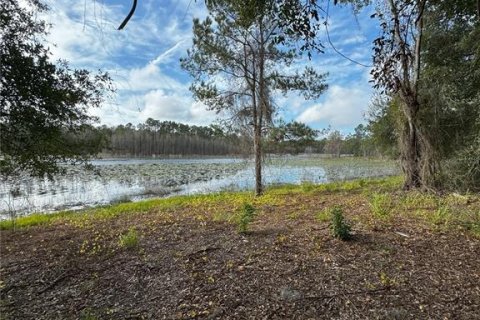 Terreno en venta en Altoona, Florida № 1356206 - foto 4