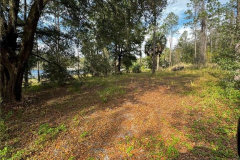 Terreno en venta en Altoona, Florida № 1356206 - foto 12