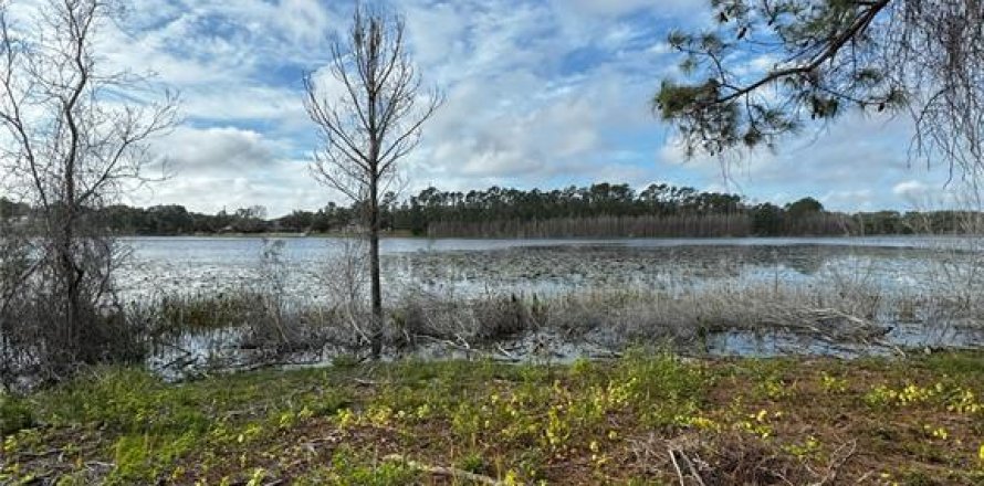 Terreno en Altoona, Florida № 1356206