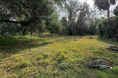 Terreno en venta en Altoona, Florida № 1356206 - foto 9