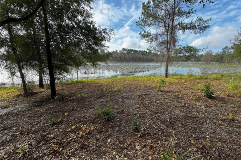 Terrain à vendre à Altoona, Floride № 1356206 - photo 6