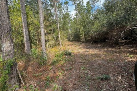 Terreno en venta en Altoona, Florida № 1356206 - foto 8