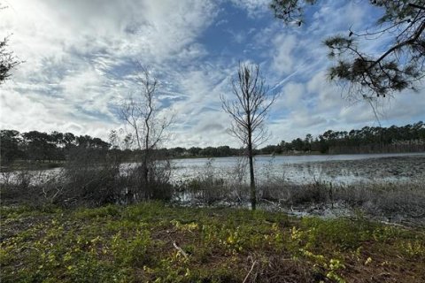 Land in Altoona, Florida № 1356206 - photo 2