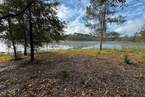 Land in Altoona, Florida № 1356206 - photo 5