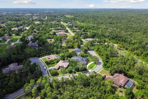 Land in Weeki Wachee, Florida № 1356170 - photo 20