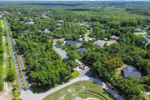 Land in Weeki Wachee, Florida № 1356170 - photo 18