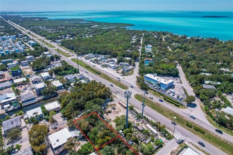 Terrain à vendre à Key Largo, Floride № 1104289 - photo 6