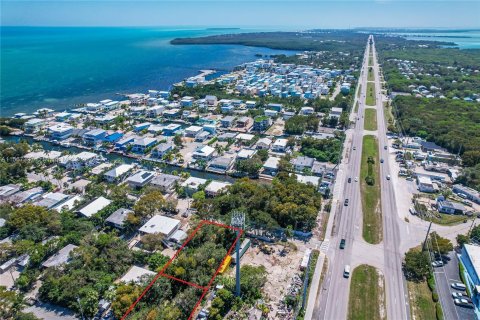 Terrain à vendre à Key Largo, Floride № 1104289 - photo 5
