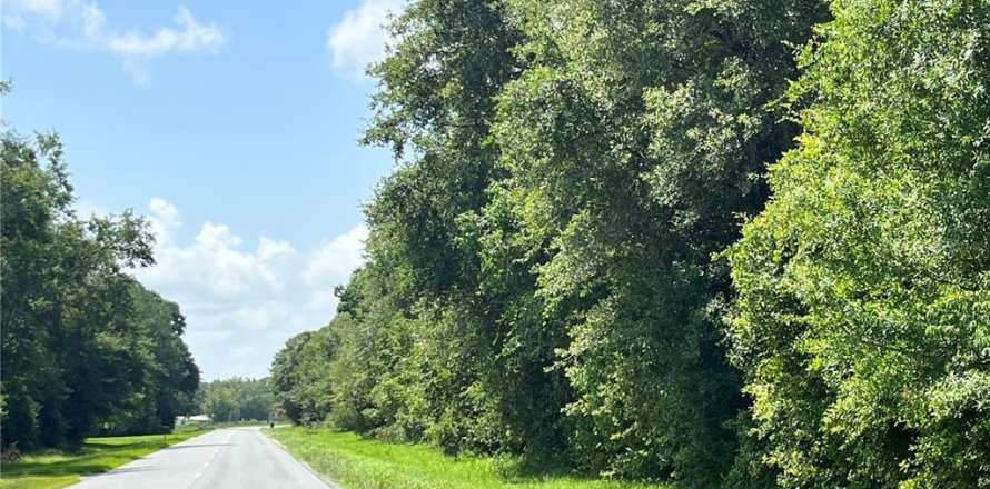 Terrain à Starke, Floride № 1299756