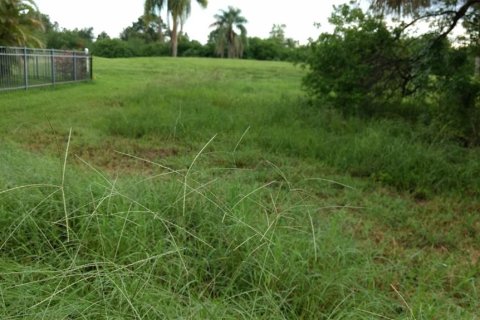 Land in Lehigh Acres, Florida № 1400861 - photo 6