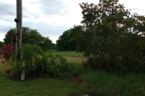 Land in Lehigh Acres, Florida № 1400861 - photo 2