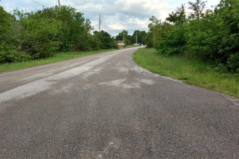 Land in Lehigh Acres, Florida № 1400861 - photo 5