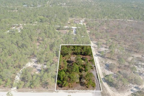 Terreno en venta en Weeki Wachee, Florida № 1415932 - foto 1