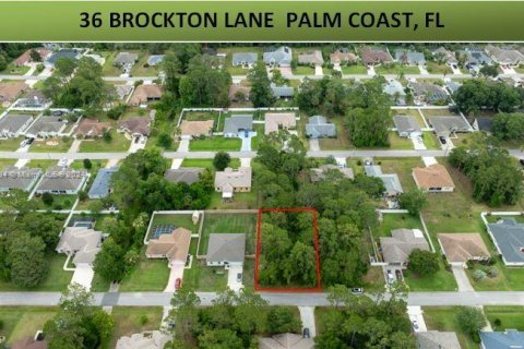 Купить земельный участок в Палм-Кост, Флорида № 1235765 - фото 2