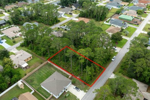 Купить земельный участок в Палм-Кост, Флорида № 1235765 - фото 3