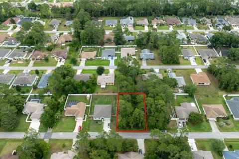 Купить земельный участок в Палм-Кост, Флорида № 1235765 - фото 5