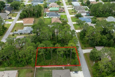 Купить земельный участок в Палм-Кост, Флорида № 1235765 - фото 4