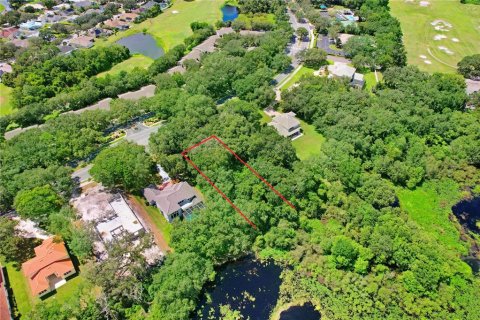 Terreno en venta en Zephyrhills, Florida № 1349070 - foto 9