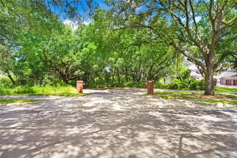 Land in Zephyrhills, Florida № 1349070 - photo 4