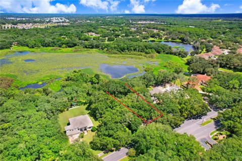 Land in Zephyrhills, Florida № 1349070 - photo 15