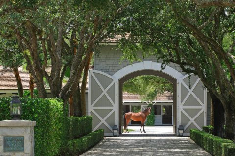 Copropriété à vendre à Riviera Beach, Floride: 1 chambre, 73.11 m2 № 959350 - photo 10