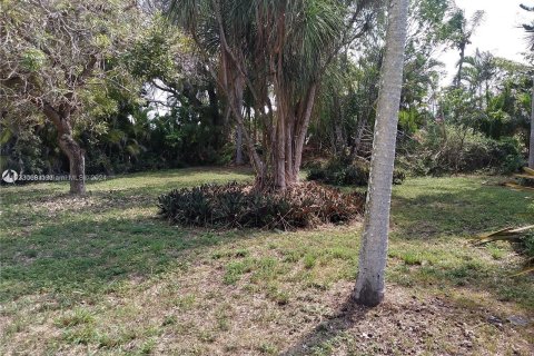 Land in Homestead, Florida № 975974 - photo 2