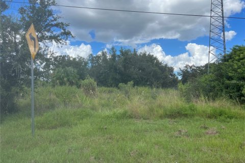 Terrain à vendre à Punta Gorda, Floride № 1376496 - photo 7