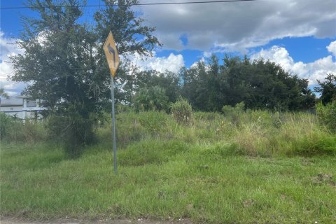 Terrain à vendre à Punta Gorda, Floride № 1376496 - photo 6