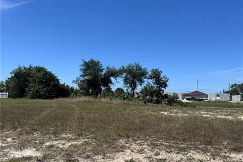 Land in Cape Coral, Florida № 1082344 - photo 14