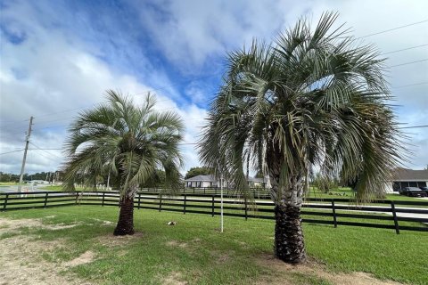 Villa ou maison à vendre à Ocala, Floride: 3 chambres, 190.08 m2 № 1360189 - photo 21