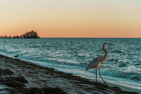 Land in Anna Maria, Florida № 1295330 - photo 16