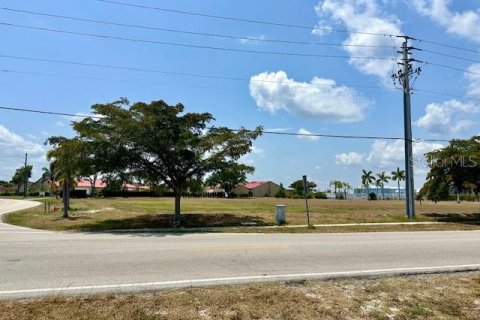 Terreno en venta en Punta Gorda, Florida № 1191071 - foto 7