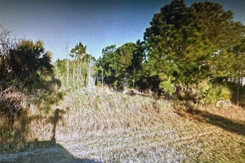 Купить земельный участок в Палм-Бей, Флорида № 973770 - фото 3