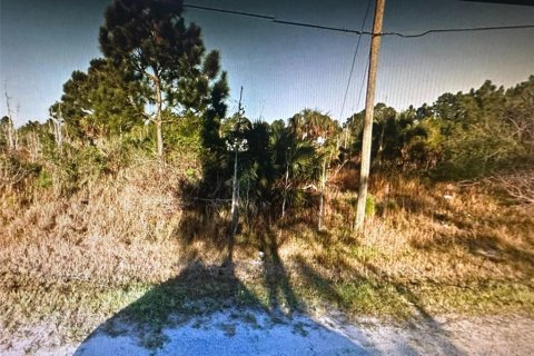 Купить земельный участок в Палм-Бей, Флорида № 973770 - фото 5