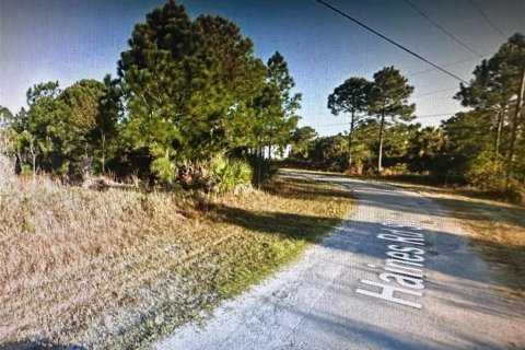 Купить земельный участок в Палм-Бей, Флорида № 973770 - фото 1