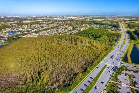 Купить земельный участок в Орландо, Флорида № 223825 - фото 19