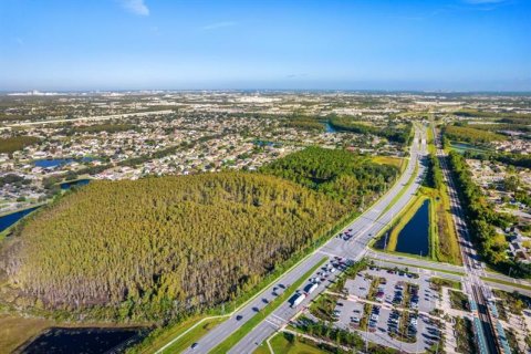 Купить земельный участок в Орландо, Флорида № 223825 - фото 13