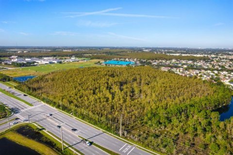 Купить земельный участок в Орландо, Флорида № 223825 - фото 7