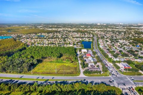 Купить земельный участок в Орландо, Флорида № 223825 - фото 11