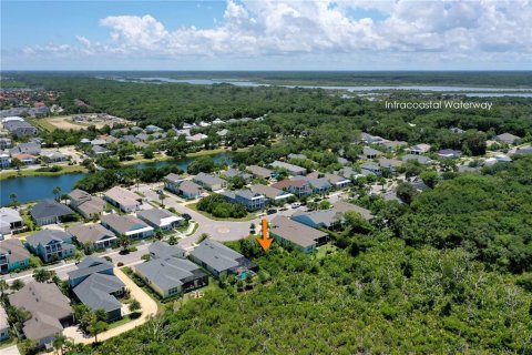 Купить земельный участок в Палм-Кост, Флорида № 508835 - фото 8