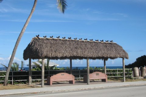 Villa ou maison à vendre à Jupiter, Floride: 5 chambres, 384.99 m2 № 986898 - photo 2