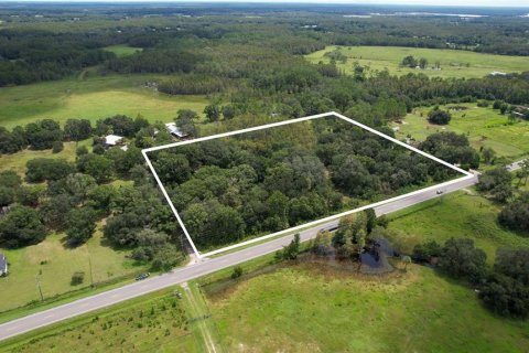 Land in Clermont, Florida № 1370003 - photo 2